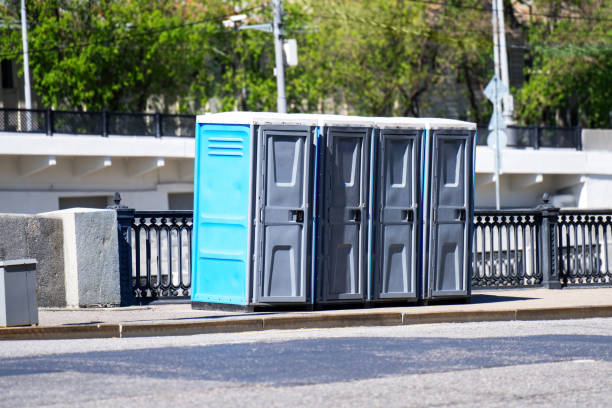 Best High-end porta potty rental  in Mount Jackson, VA