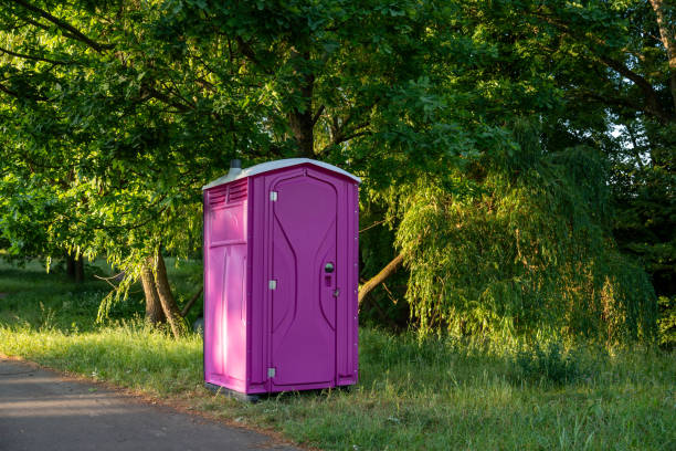 Best Porta potty rental for outdoor events  in Mount Jackson, VA